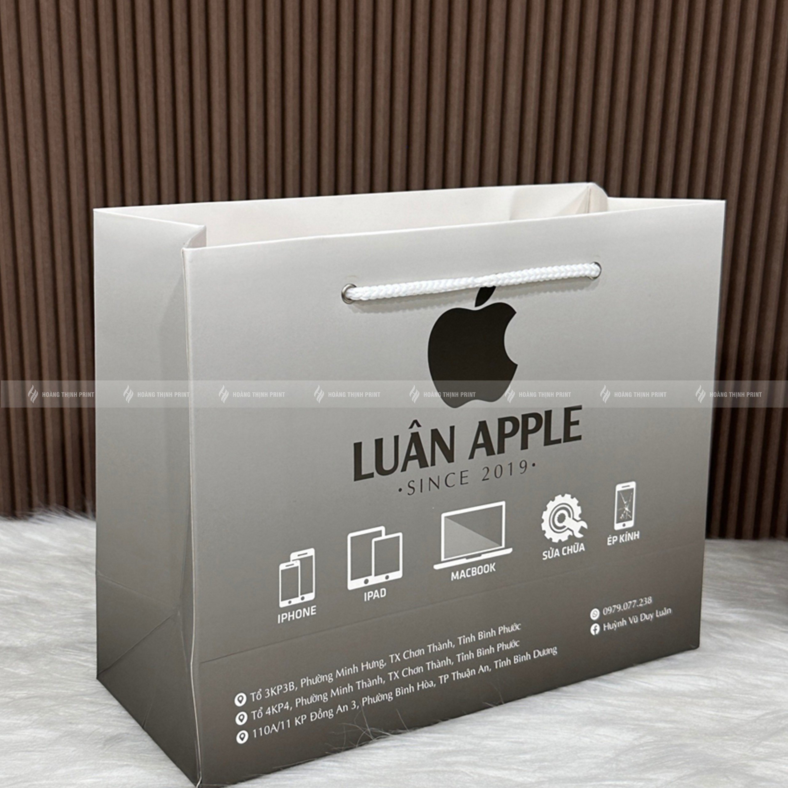 Túi giấy Luân Apple